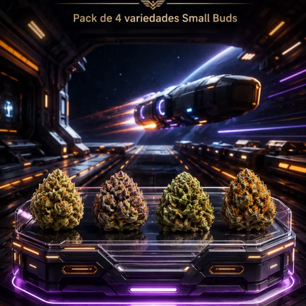 Pack Small Buds CBD – Microcargamento Express