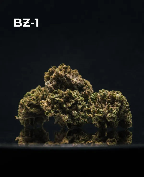 Second image of Pack Small Buds CBD – Microcargamento Express