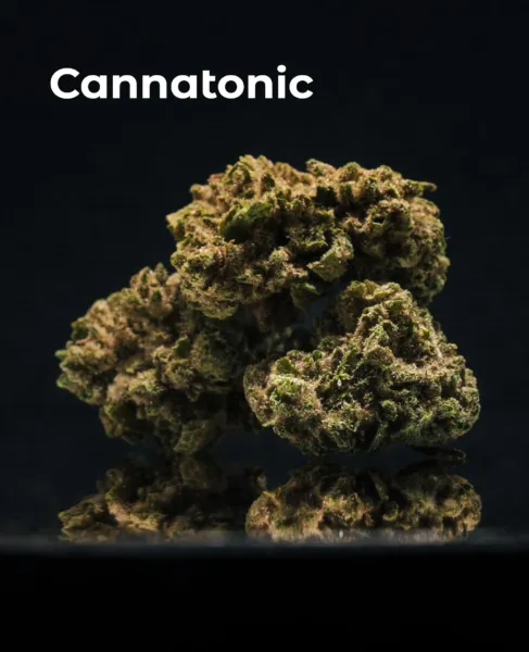 Flor CBD Cannatonic del pack Microcargamento Express sobre fondo oscuro