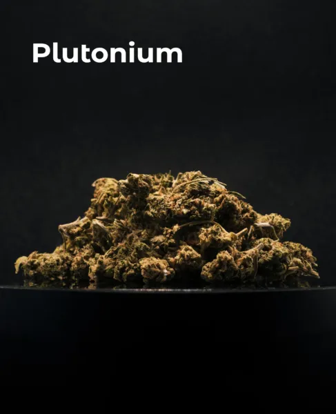 Flor CBD Plutonium del pack Microcargamento Express sobre fondo oscuro