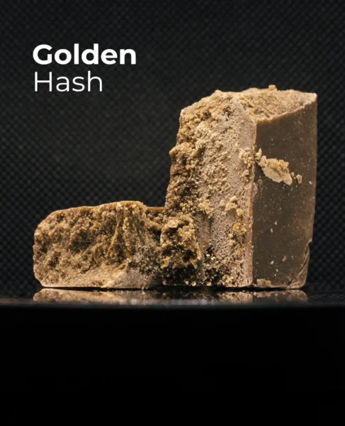 Resina CBD Golden Hash del pack Núcleo de Extracción sobre fondo oscuro